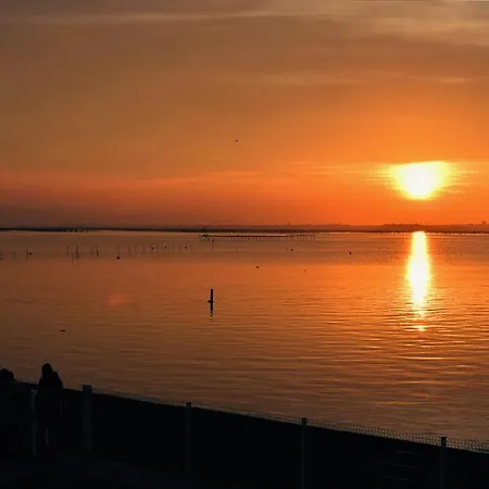 T3 Vue Etang Apartamento *